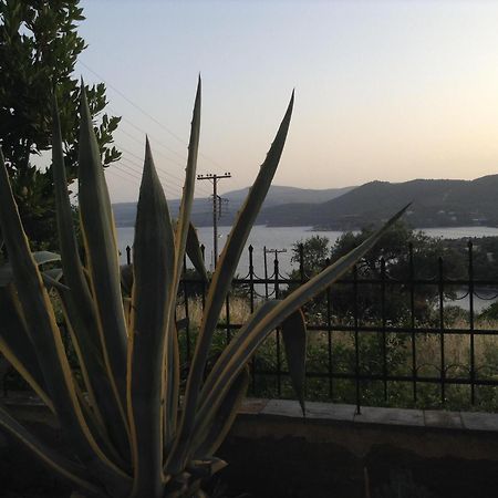 פירגדיקיה Art Hotel Panorama מראה חיצוני תמונה
