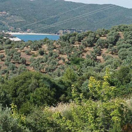 פירגדיקיה Art Hotel Panorama מראה חיצוני תמונה