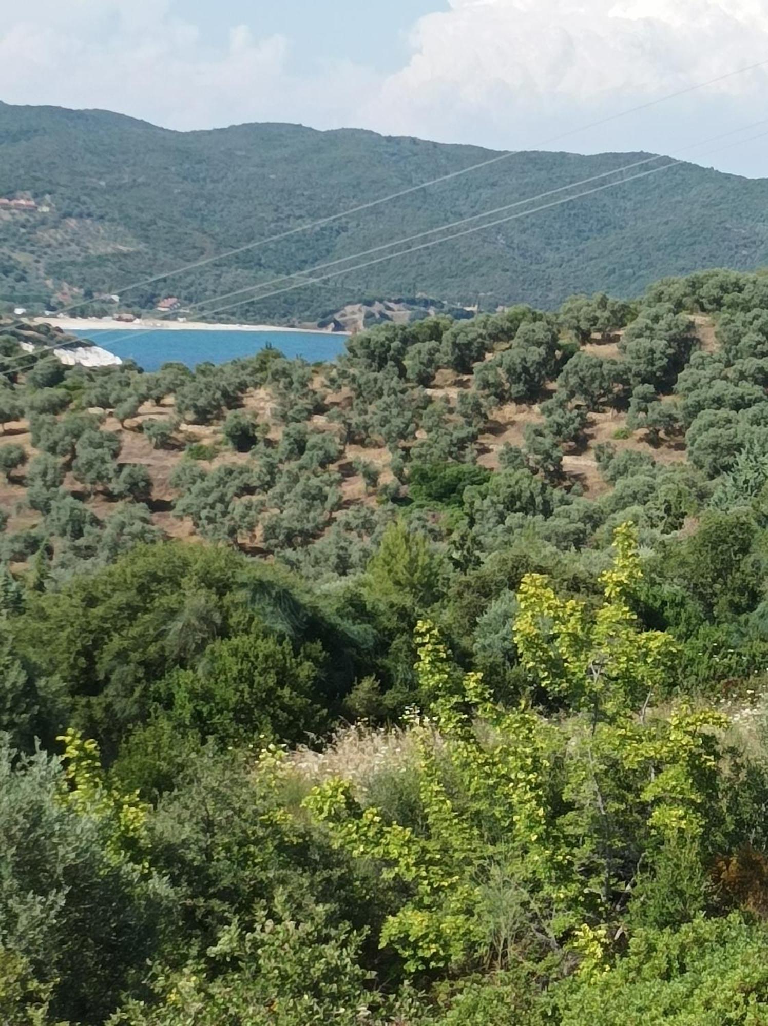 פירגדיקיה Art Hotel Panorama מראה חיצוני תמונה